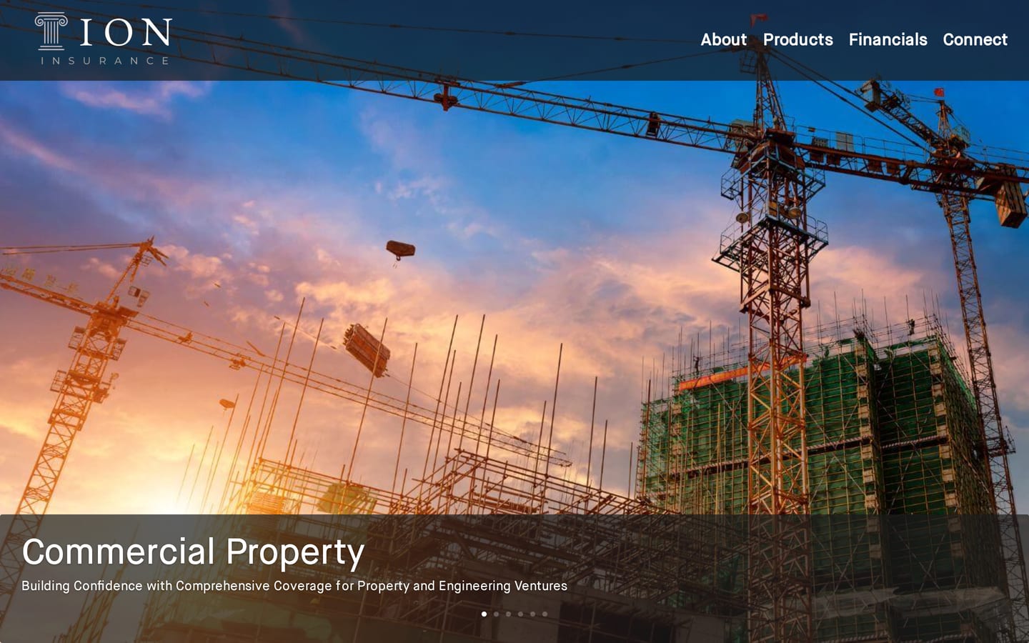 ioninsuranceinc.com: the Products page.