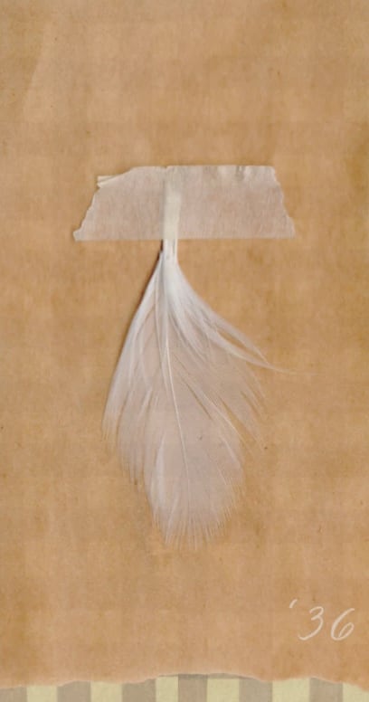 A white feather taped to a torn kraft card, written '36 in the corner.
