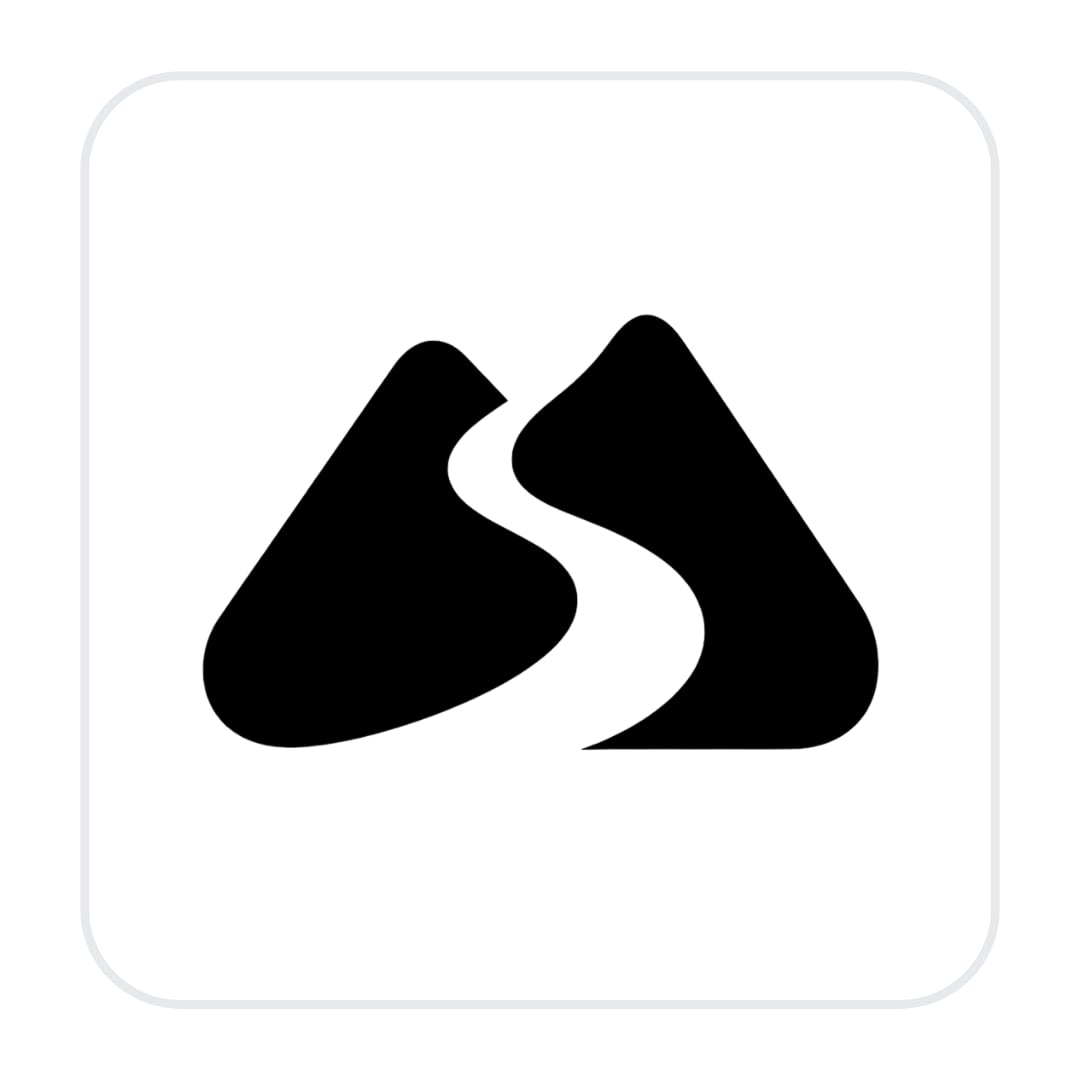 The wordmark in black on white.